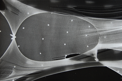 Photogram series | 2012