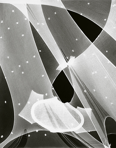 Photogram series | 2012