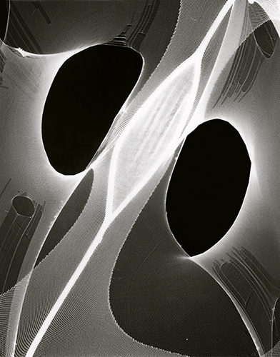 Photogram series | 2012