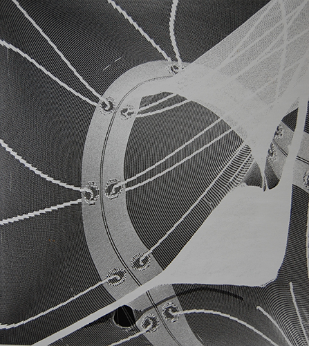 Photogram series | 2012